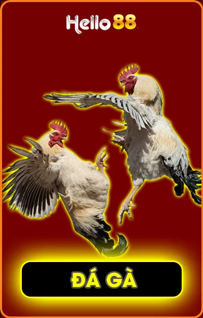 Hình mẹo chơi đá gà